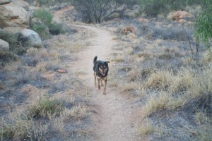 Our path up the hill
