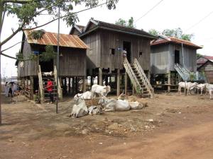 Village scene Mekong shore Kampong Cham