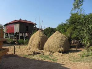 Dr Zeuss style haystacks decorate many front yards in villages around Kampong Cham