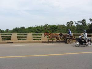 Horse drawn carriages mingle with traffic across Kizuna Bridge