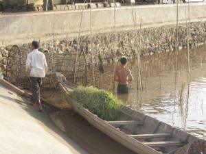Collecting grass to take across the river