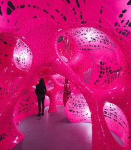 Pink Dr Zeuss-like cave-tunnel at Storefront for Art and Architecture, New York. Jana Winderen and Marc Fornes, 20 Dec 2014 (courtesy Google)
