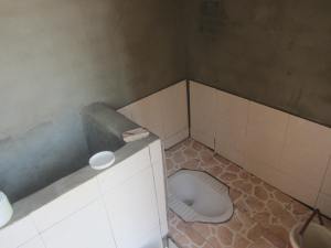 Squat toilet and water tank for flushing and washing
