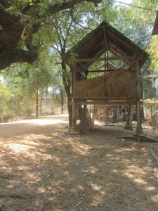 Elevated hayshed on the Mekong embankment