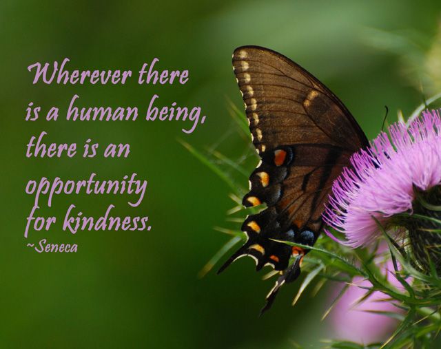Opportunity for Kindness