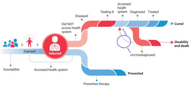 Roadmap path of child infected with TB 036