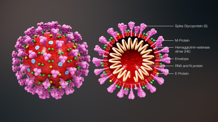 Coronavirus 02