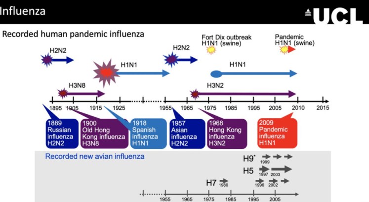 Chart Human Pandemics