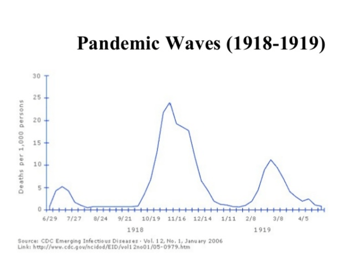 Pandemic Waves