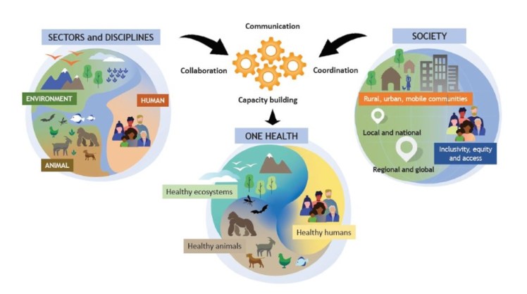 One Health Crimean-Congo Haemorrhagic Fever