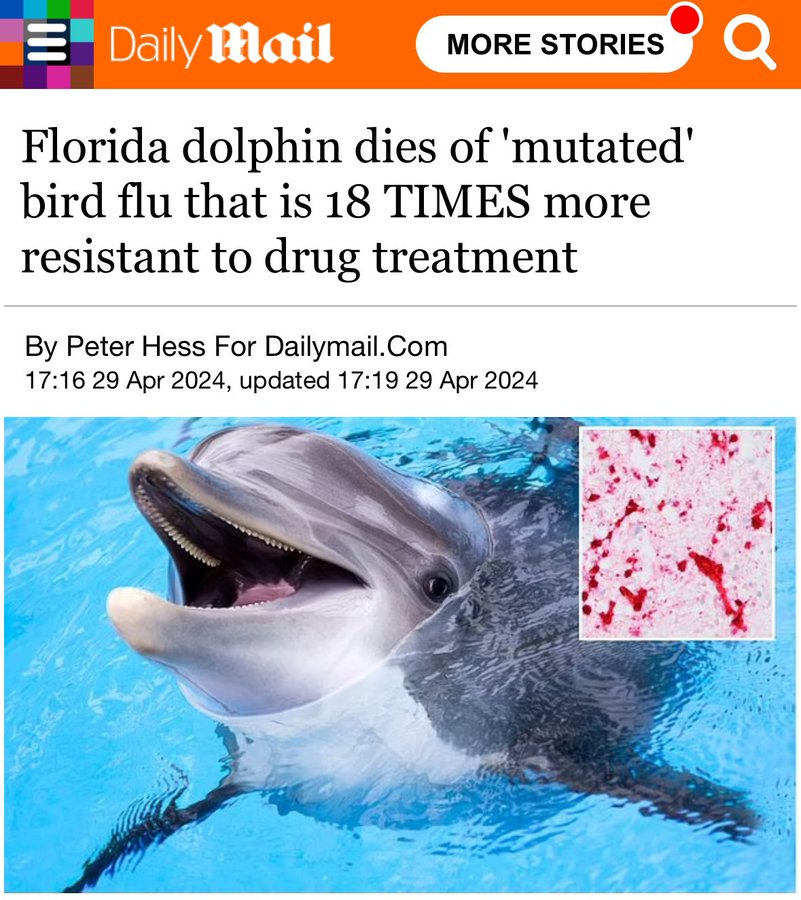 Bird Flu Confirmed in Victoria Fox, Suspected in Dolphin